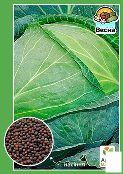 Капуста пізньостигла "Бірюза" Agro-Market 0.5г (18631)