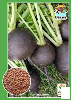 Редька "Черная зимняя" Agro-Market 2г (10350)