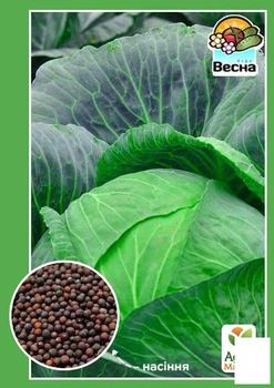 Капуста "Каменная голова" Agro-Market 0.5г (10335)