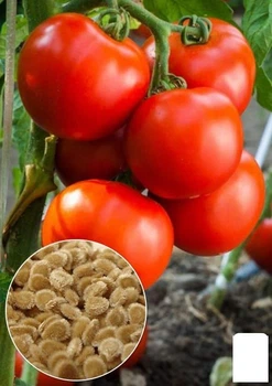 Томат "Орел пустыни" (Зипер) Agro-Market 0.5г (184323)