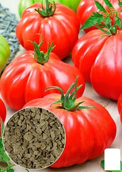Томат "Райська насолода" Agro-Market 0.1г (23616)