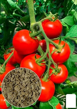 На развес Томат "Флагман" Agro-Market цена за 1г (177693)
