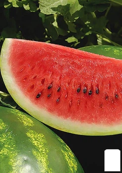 Арбуз "Арашан" (зипер) Agro-Market 4г (183086)
