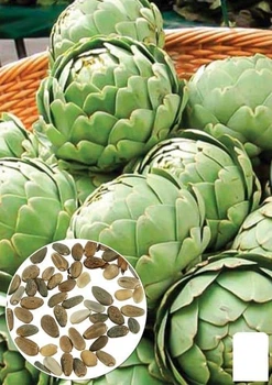 Артишок "Зеленый глобус" (зипер) Agro-Market 0,5г (183406)