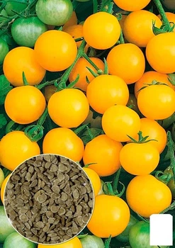 На развес Томат "Голд Раш" Agro-Market цена за 1г (178485)
