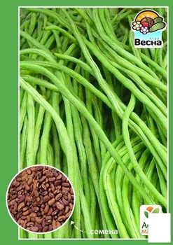 Вигна "Китайская" (Большой пакет) Agro-Market 2г (32694)