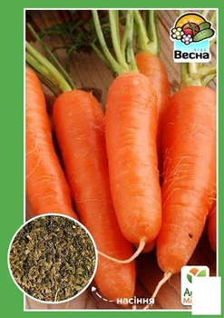 Морква "Без серцевини" Agro-Market 2г (10385)