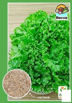 Салат "Одесский кучерявец" Agro-Market 1.5г (10188)