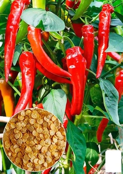 На развес Перец острый "Харуз" Agro-Market цена за 2г (177684)