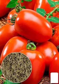 Томат "Рио Гранде" (Зипер) Agro-Market1г (35233)