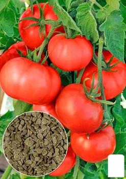 На развес Томат "Розовый слон" Agro-Market цена за 1г (178260)