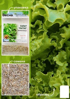 Салат "Латук" (Зіпер) Agro-Market 3г (20600)