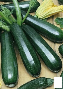 Кабачок "Неро ди Милано" (Зипер) Agro-Market 5г (183094)