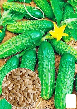 Огурец "Черномор F1" Agro-Market 0.2г (18593)