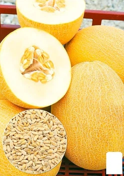 Дыня "Престиж" Agro-Market 1.5г (45472)