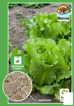 Салат "Одесский кучерявец" (Большой пакет) Agro-Market 3г (32588)