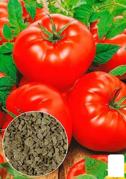 На развес Томат "Толстушка" Agro-Market цена за 1г (178419)