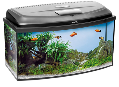 Zestaw akwariowy Aquael Classic D&N 80/O 102 L (5905546331173)
