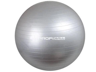 Фитбол мяч для фитнеса Profi ball 55 см серый