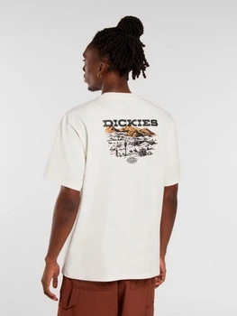 Футболка бавовняна довга чоловіча Dickies DK0A4Z8VC481 2XL Біла (196011929611)