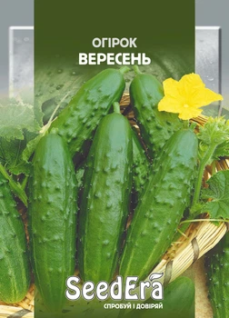 Семена Огурец Сентябрь 10 г Seedera