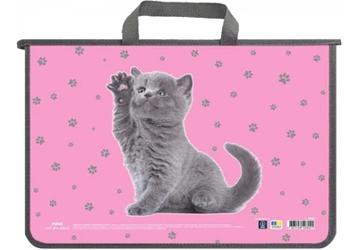 Портфель пластиковий А4 на блискавці 2 відділення CAT MX30059