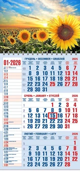 Календар 2026 офісний 1. Соняхи