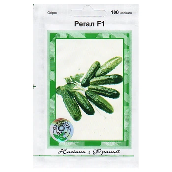 Семена огурца Регал F1 100 семян Clause, Франция