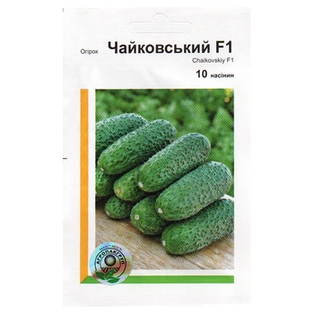 Семена огурца Чайковский F1 10 семян Rijk Zwaan, Голландия