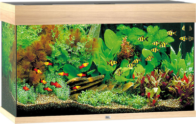 Zestaw akwariowy Juwel Rio 125 LED Jasny dąb (4022573018509)