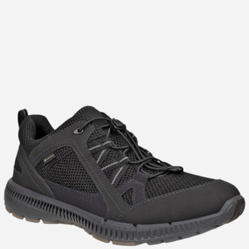 Кросівки для треккінгу з Gore-Tex Terracruise II M