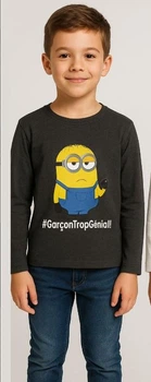 Кофта Minions (Миньоны) 104 см Серый TH12972