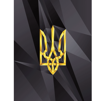 Захисна плівка StatusSKIN для Bluboo Moya Корпус Вініл Герб 1