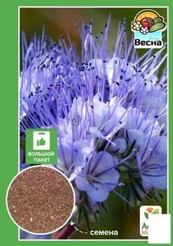 Фацелия "Пчелиный рай" (Большой пакет) Agro-Market 15г (52602)