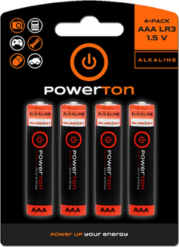 Батарейки Powerton AAA (LR03) 1.5V (12x4-pack) 48 шт (8590274601239)