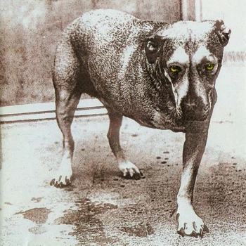 Alice In Chains – Alice In Chains (1995) Audio CD (импорт, буклет)