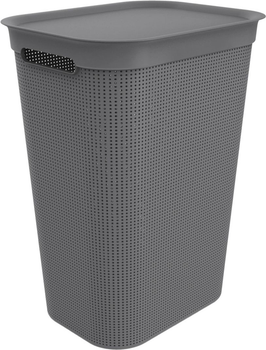Kosz na pranie Rotho Brisen 50 l Antracyt (1023508853WS)