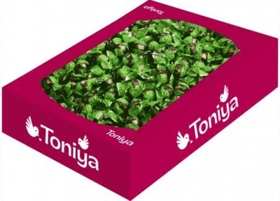 Цукерки фундук в шоколаді Toniya 1 кг