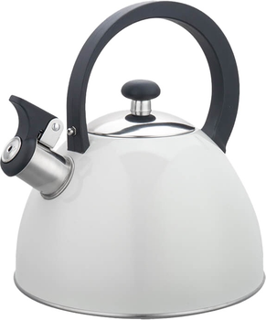 Czajnik metalowy Maestro Basic 2.5 l (4820268321947)