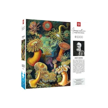Пазл GoodLoot Imagination: Ernst Haeckel: Sea Anemones 1000 эл. [134537]