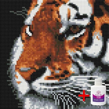 Алмазна вишивка на підрамнику ColorArt 20x20 Тигр DDP1224 + Подарунок лак для покриття