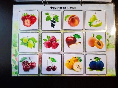 Гра навчальна на липучках Фрукти