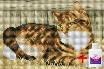 Алмазная мозаика на подрамнике ColorArt Котик 20х30 DTP704 + Подарок лак для покрытия