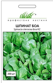 Шпинат Боа Rijk Zwaan 200 шт