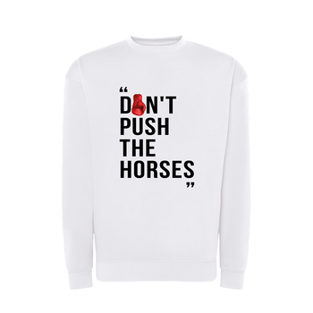 Свитшот мужской с принтом ТiШОТКА Don't Push The Horses Цитата Александра Усика S Белый (1017085815)