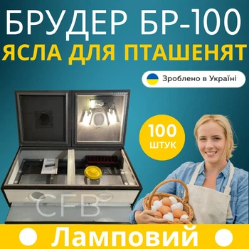 Брудер (ясли) для цыплят БР-100 пластиковый корпус вмещает до 100 птенцов с ламповым нагревателем поилкой и кормушкой