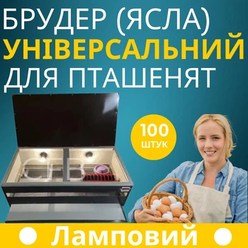 Универсальный брудер (ясли) для птенцов ламповый вмещает до 100 штук с терморегулятором кормушкой и поилкой