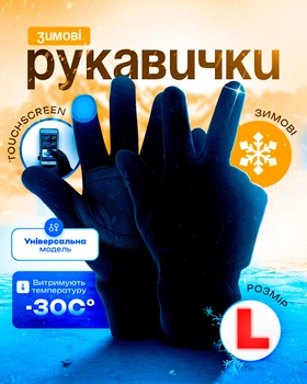 Рукавички зимові чоловічі рукавички спортивні флісові з тачскрином для сенсорних телефонів розмір L BRS Black