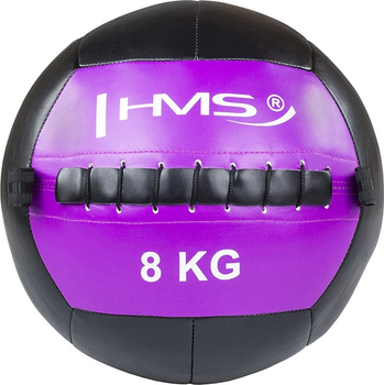 Фітнес м'яч HMS WLB Wall Ball 8 кг Фіолетовий (5907695518290)