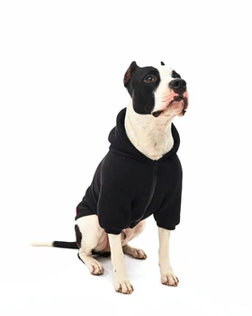 Одежда для собак Худи "LEKS BIG BLACK". SKU 00751. Размер 2XL. Your Stylish Hunter. Худи для собак средних пород.